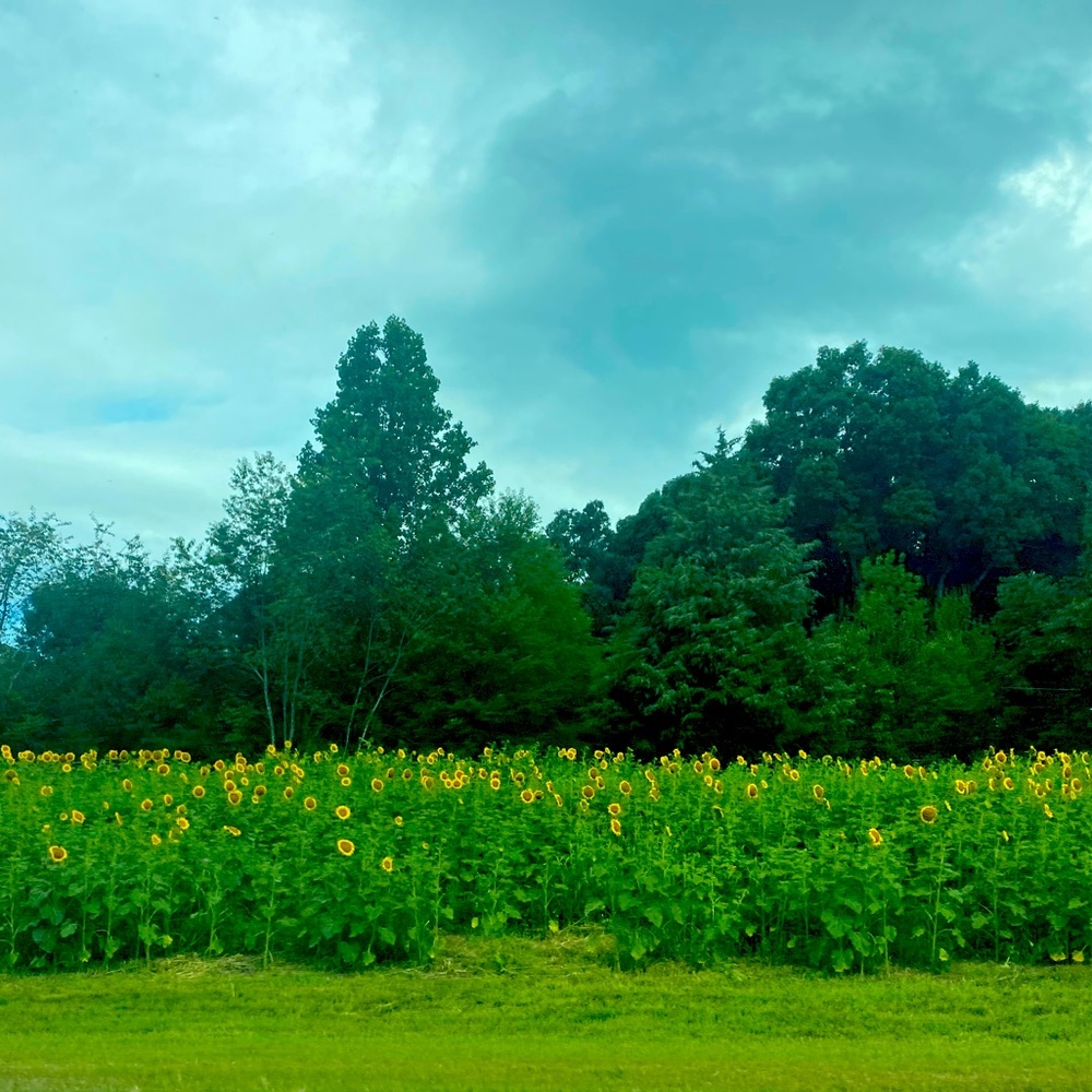 Meet your Posher, Skyler